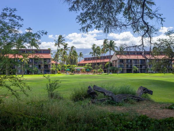 Kihei Condo 978075