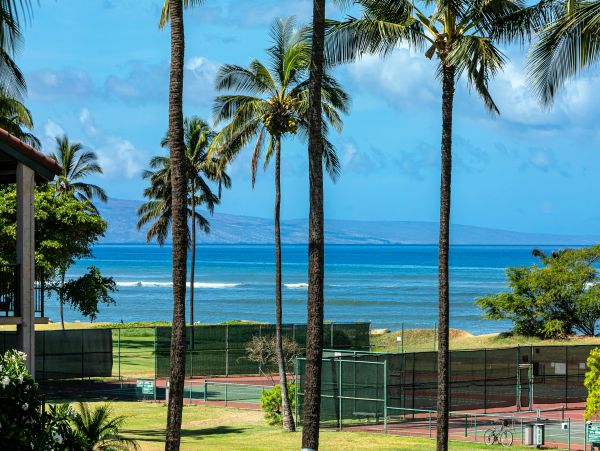 Kihei Condo 978076