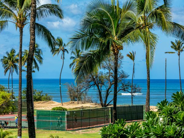 Kihei Condo 978076