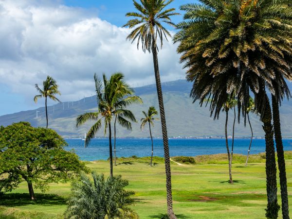 Kihei Condo 978076