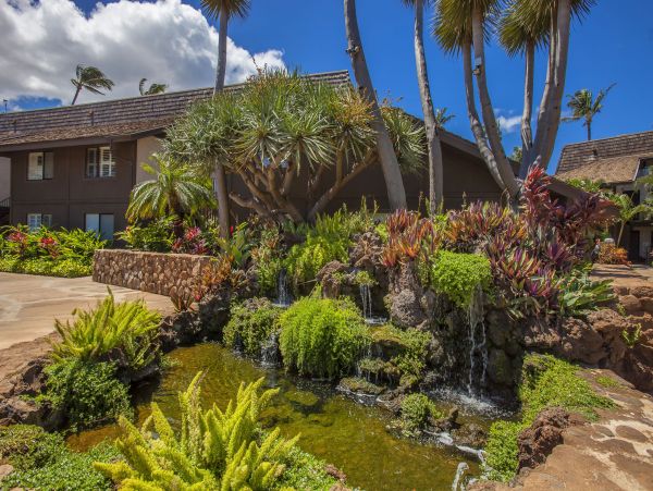 Kihei Condo 978080