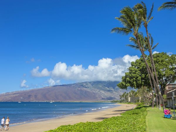 Kihei Condo 978080