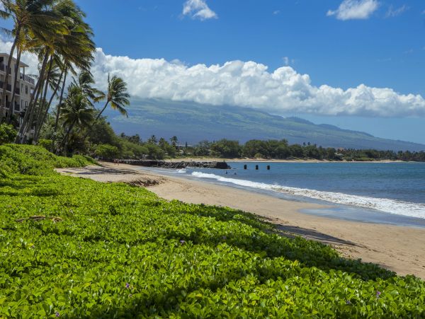 Kihei Condo 978080