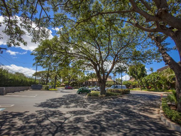 Kihei Condo 978080