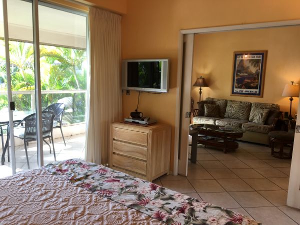Wailea Condo 978081