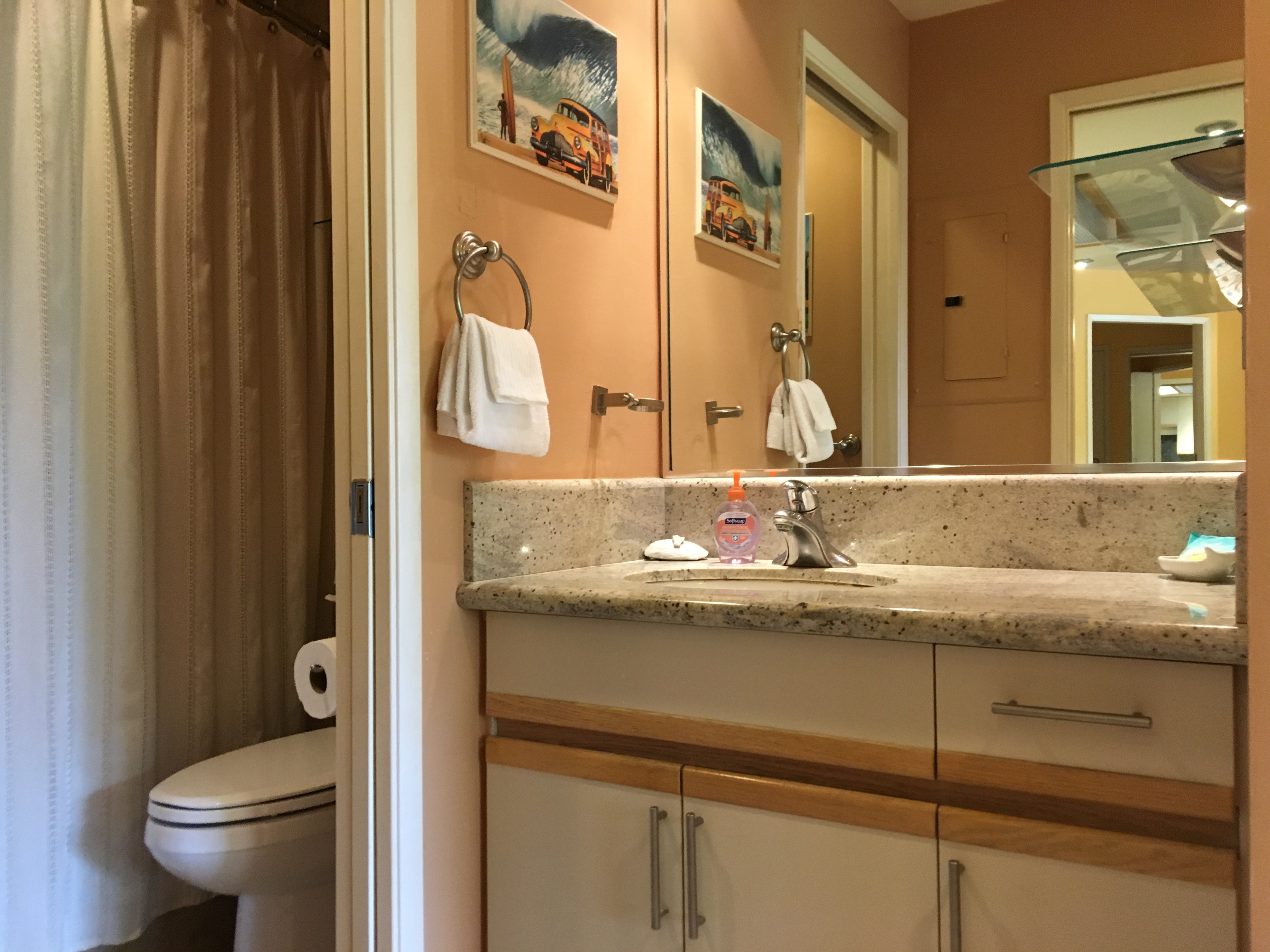 Wailea Condo 978081