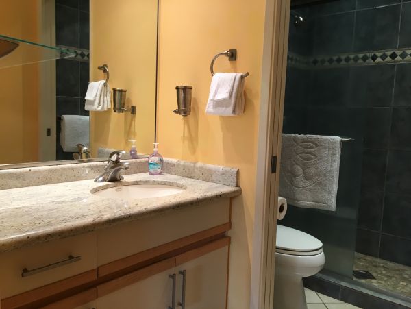 Wailea Condo 978081