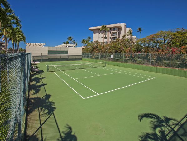 Wailea Condo 978081