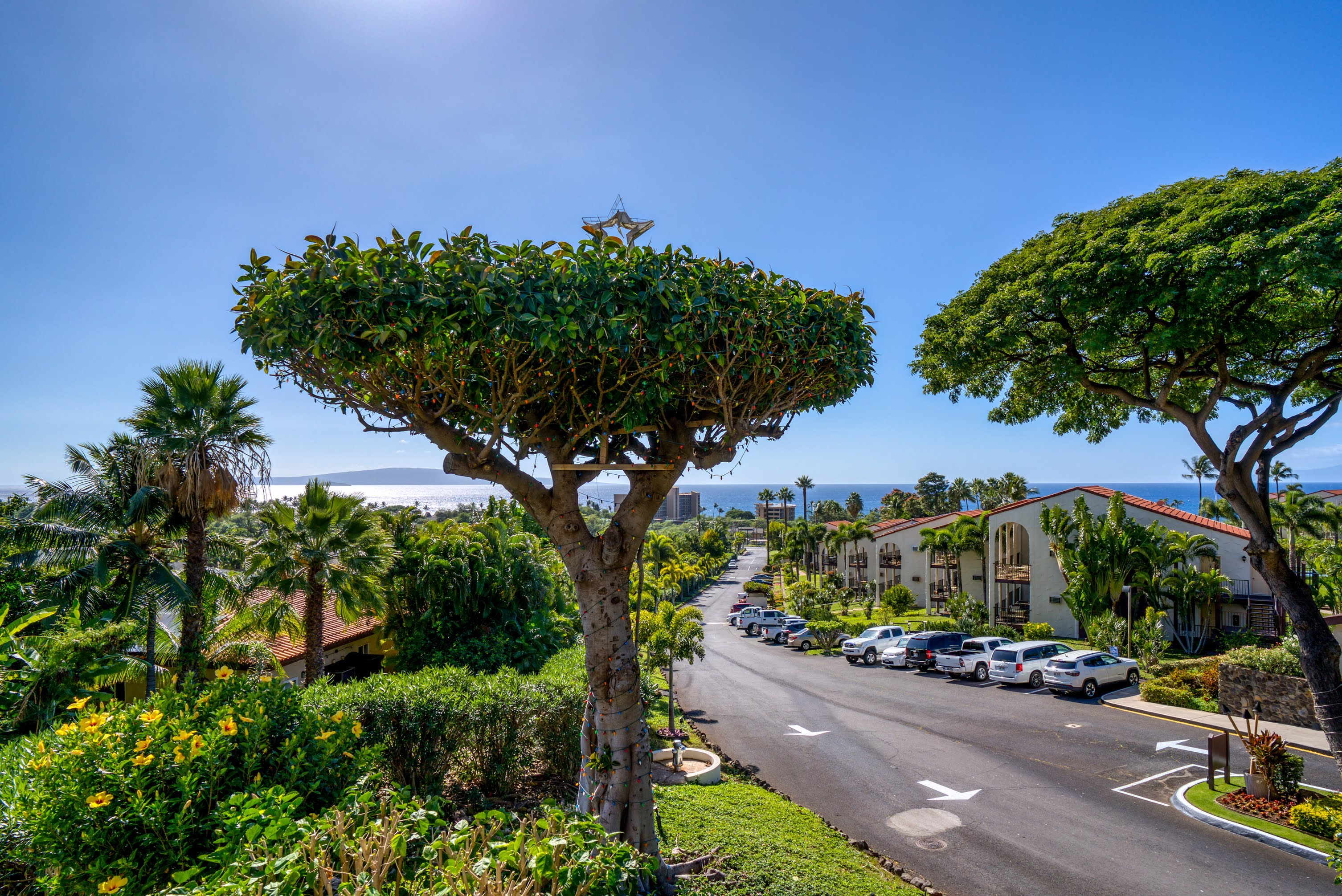 Wailea Condo 978085