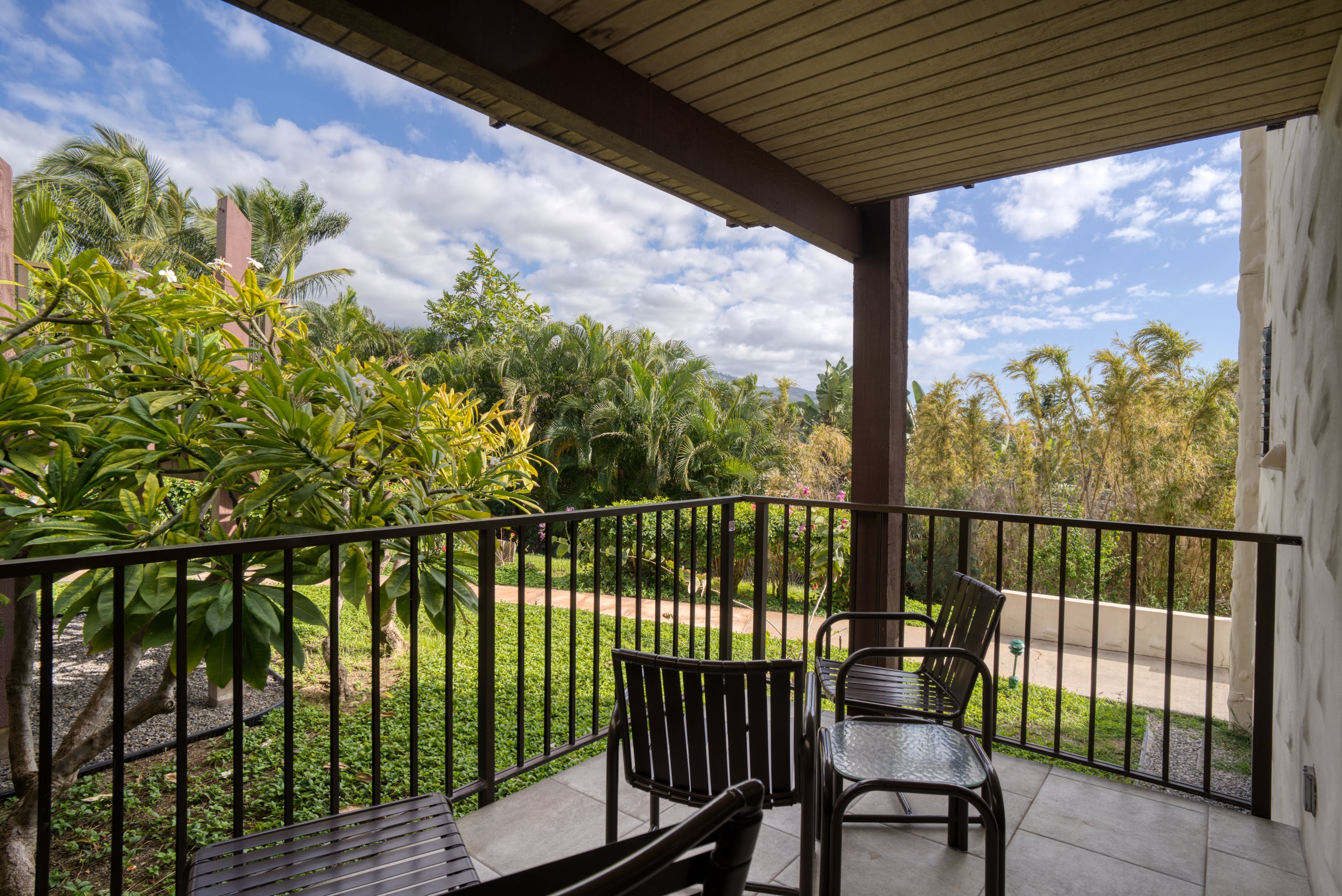 Wailea Condo 978085