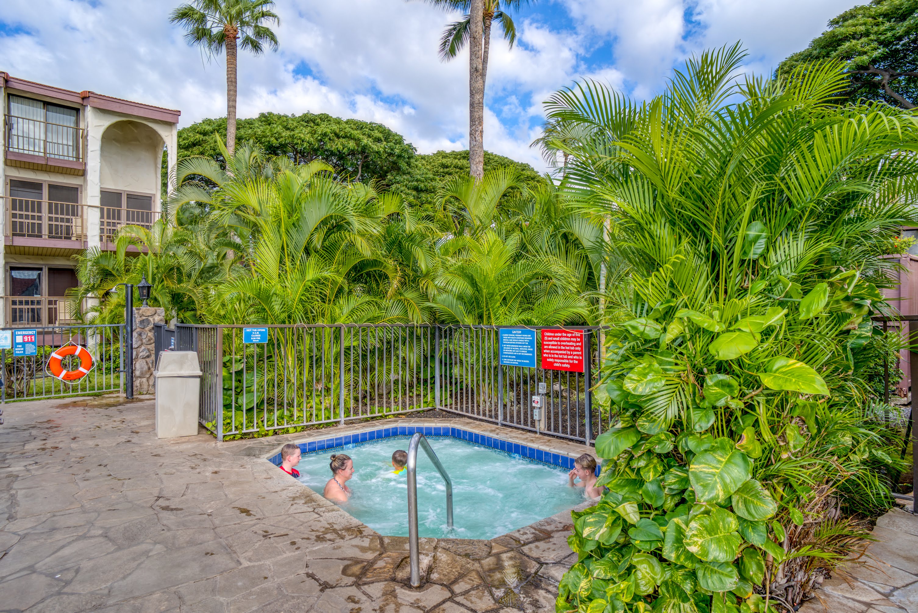 Wailea Condo 978085