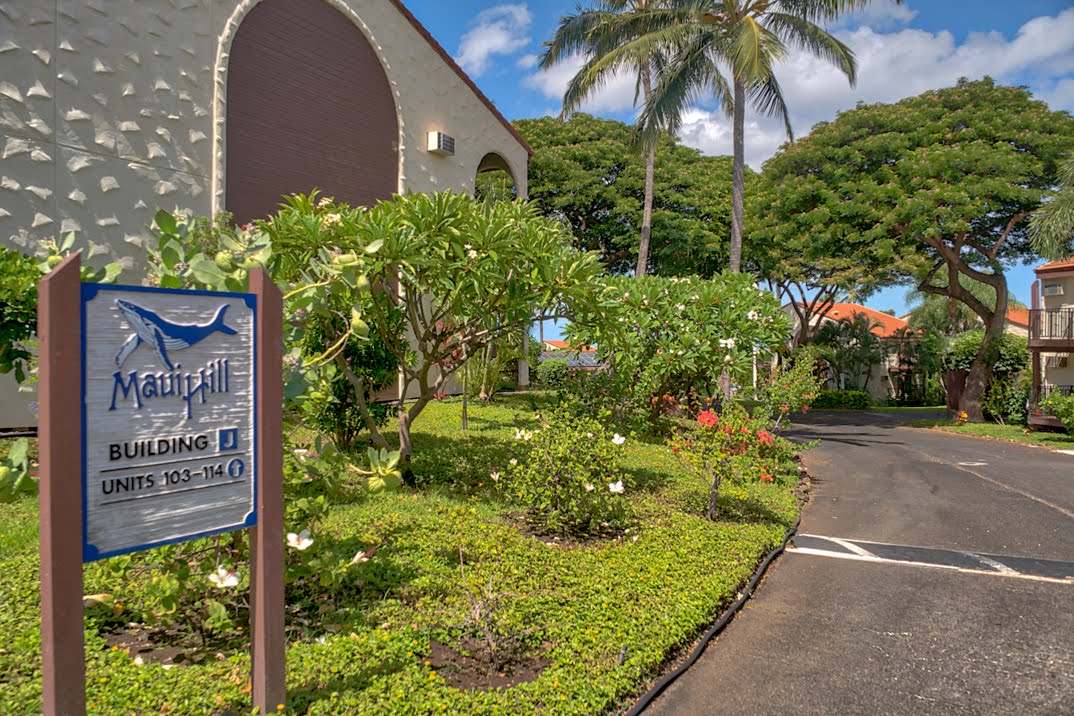 Wailea Condo 978085