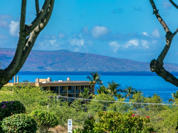 Wailea Condo 978086