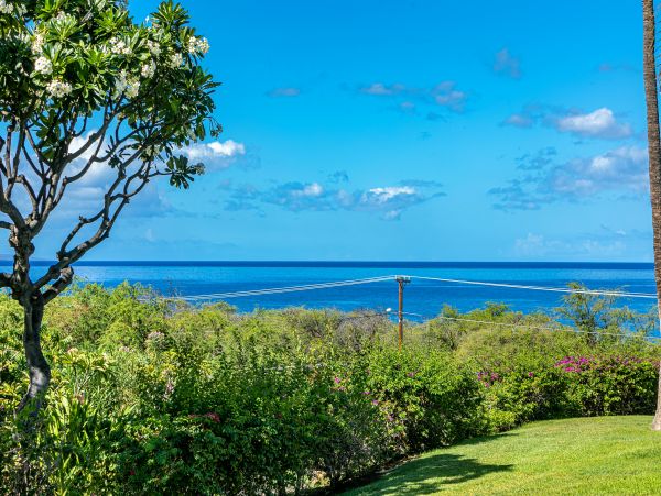 Wailea Condo 978086