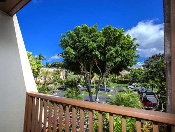 Wailea Condo 978087