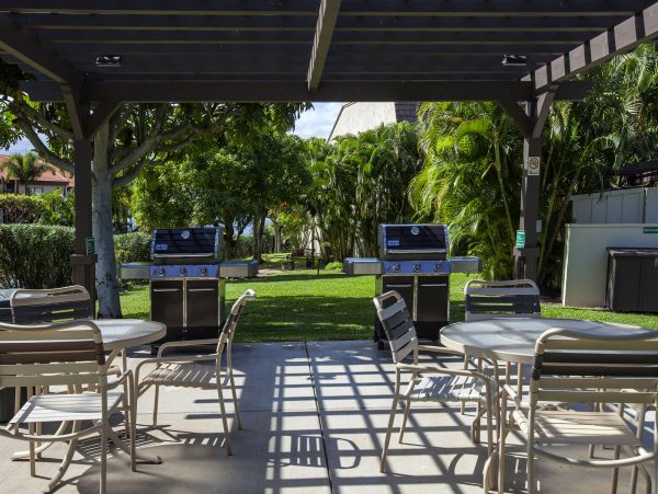 Wailea Condo 978087
