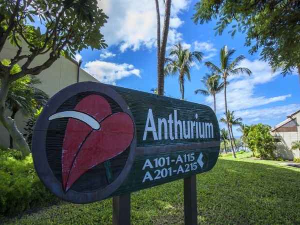 Wailea Condo 978087