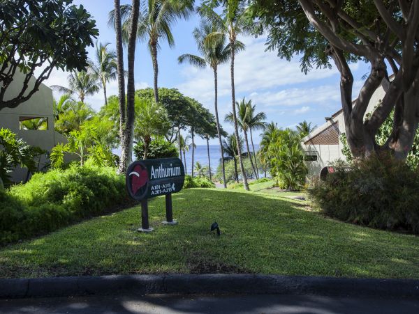 Wailea Condo 978087