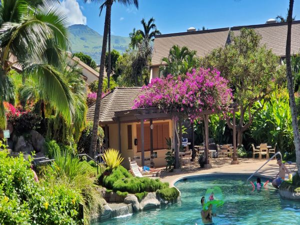 Wailea Condo 978087