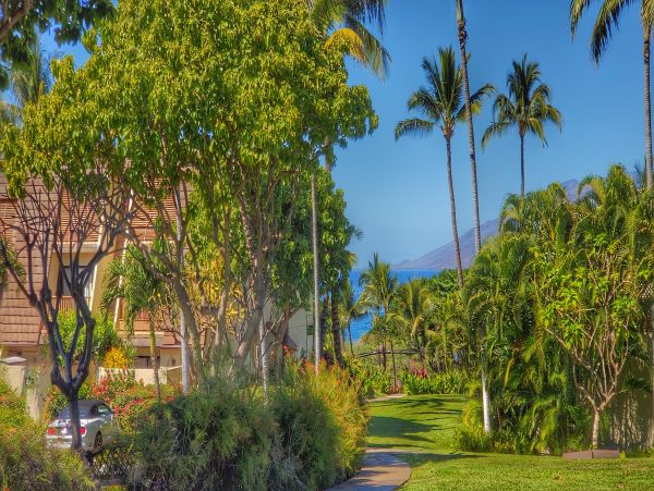 Wailea Condo 978087