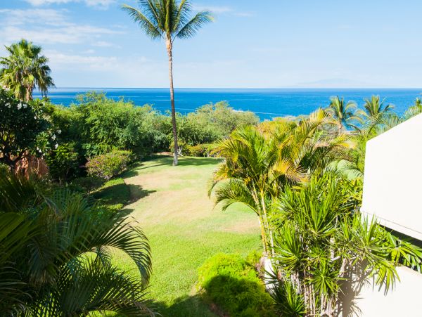 Wailea Condo 978088