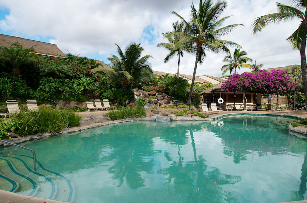 Wailea Condo 978088