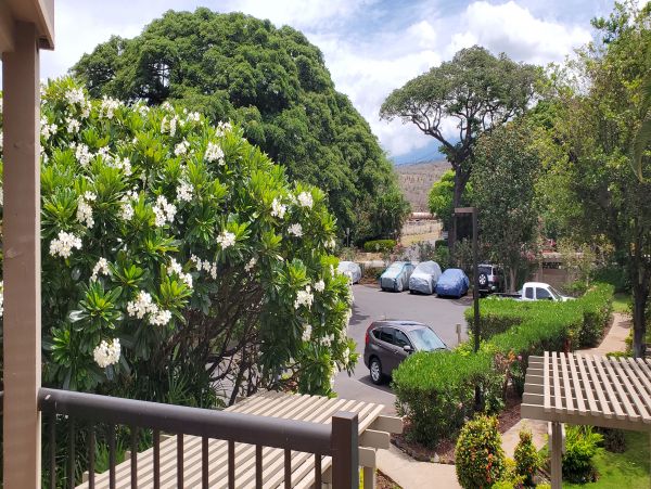 Wailea Condo 978088