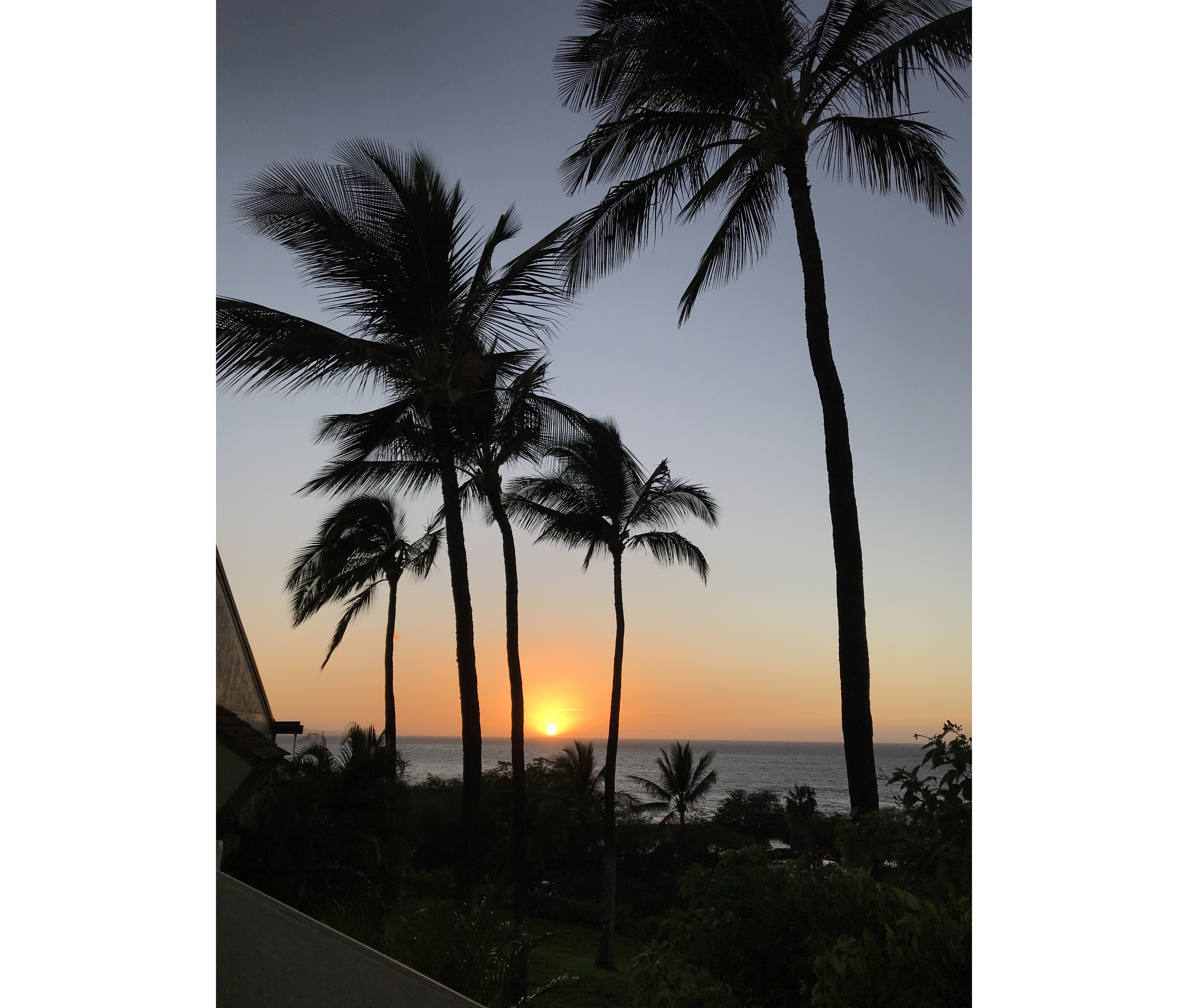 Wailea Condo 978089