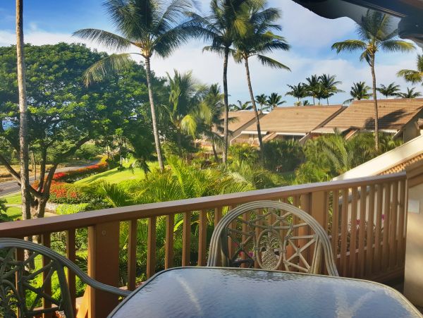 Wailea Condo 978089