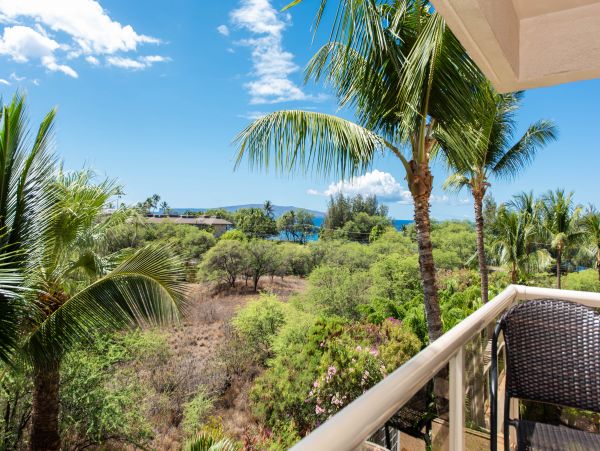 Wailea Condo 978090