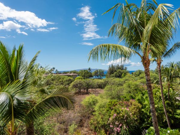 Wailea Condo 978090