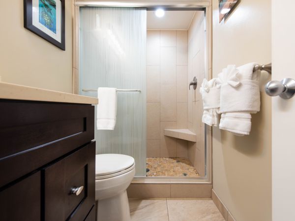 Wailea Condo 978090