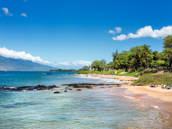 Wailea Condo 978090