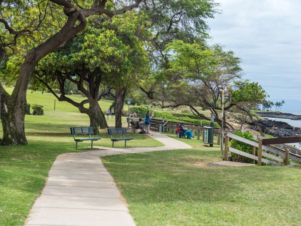 Wailea Condo 978090