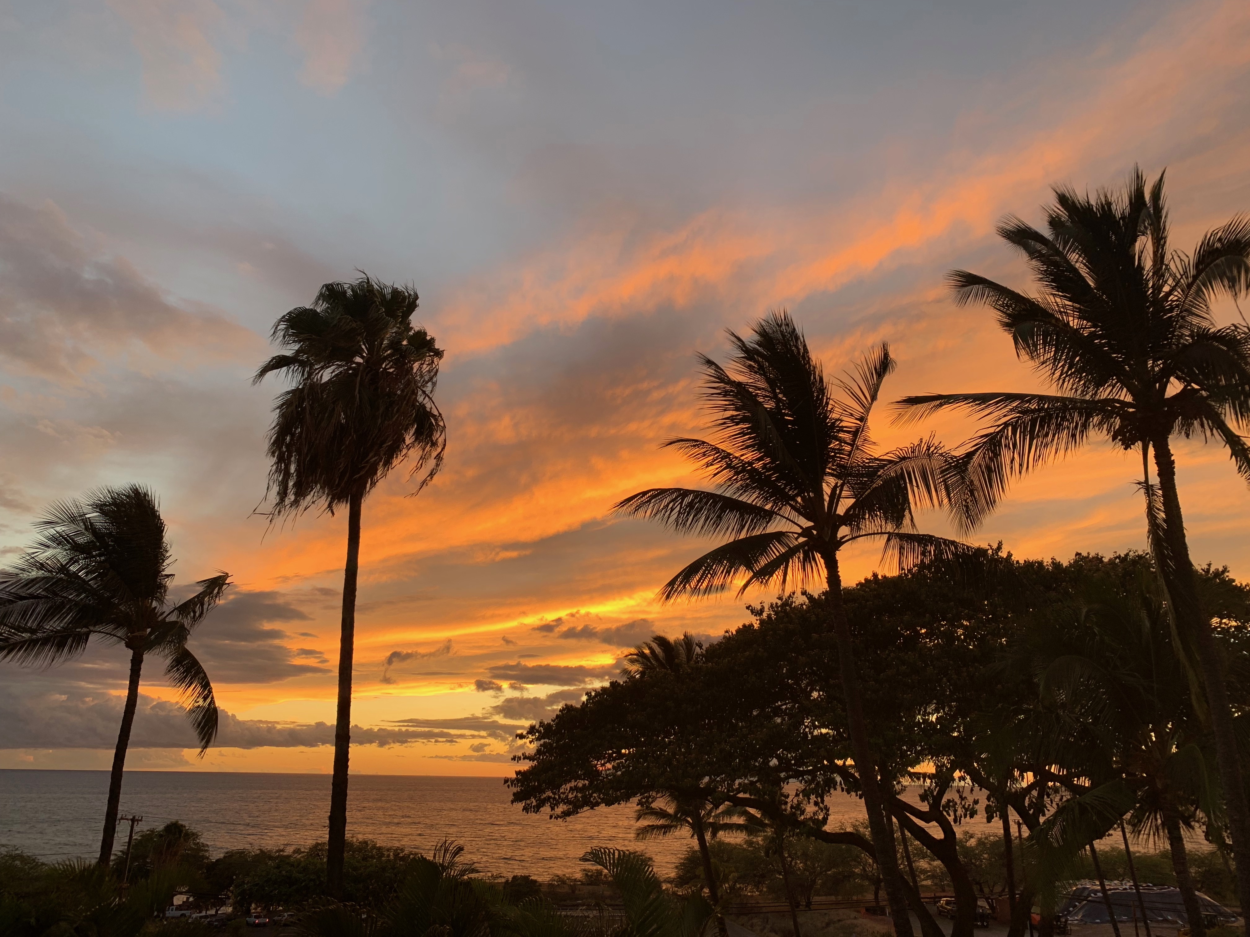 Wailea Condo 978091