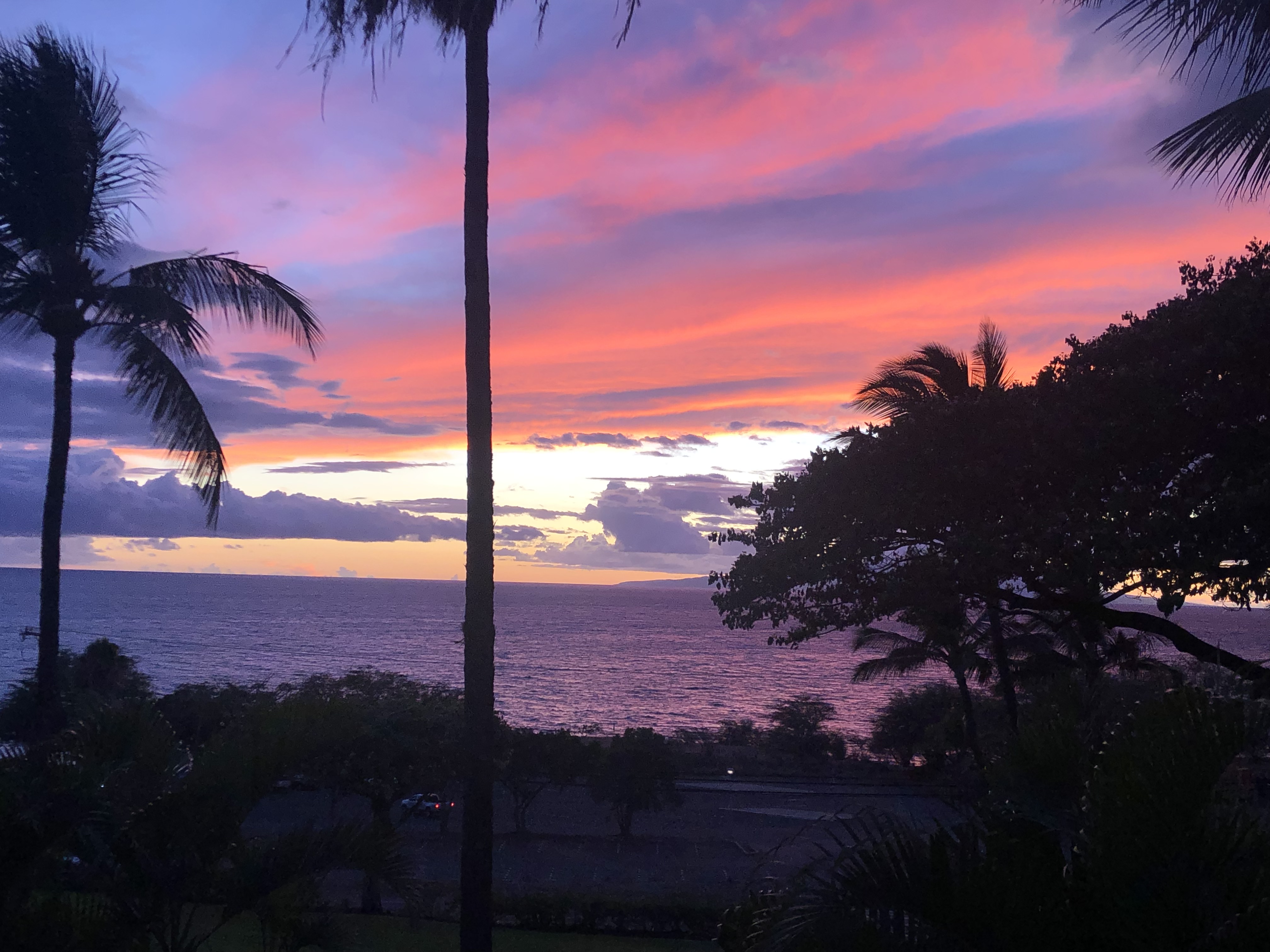 Wailea Condo 978091
