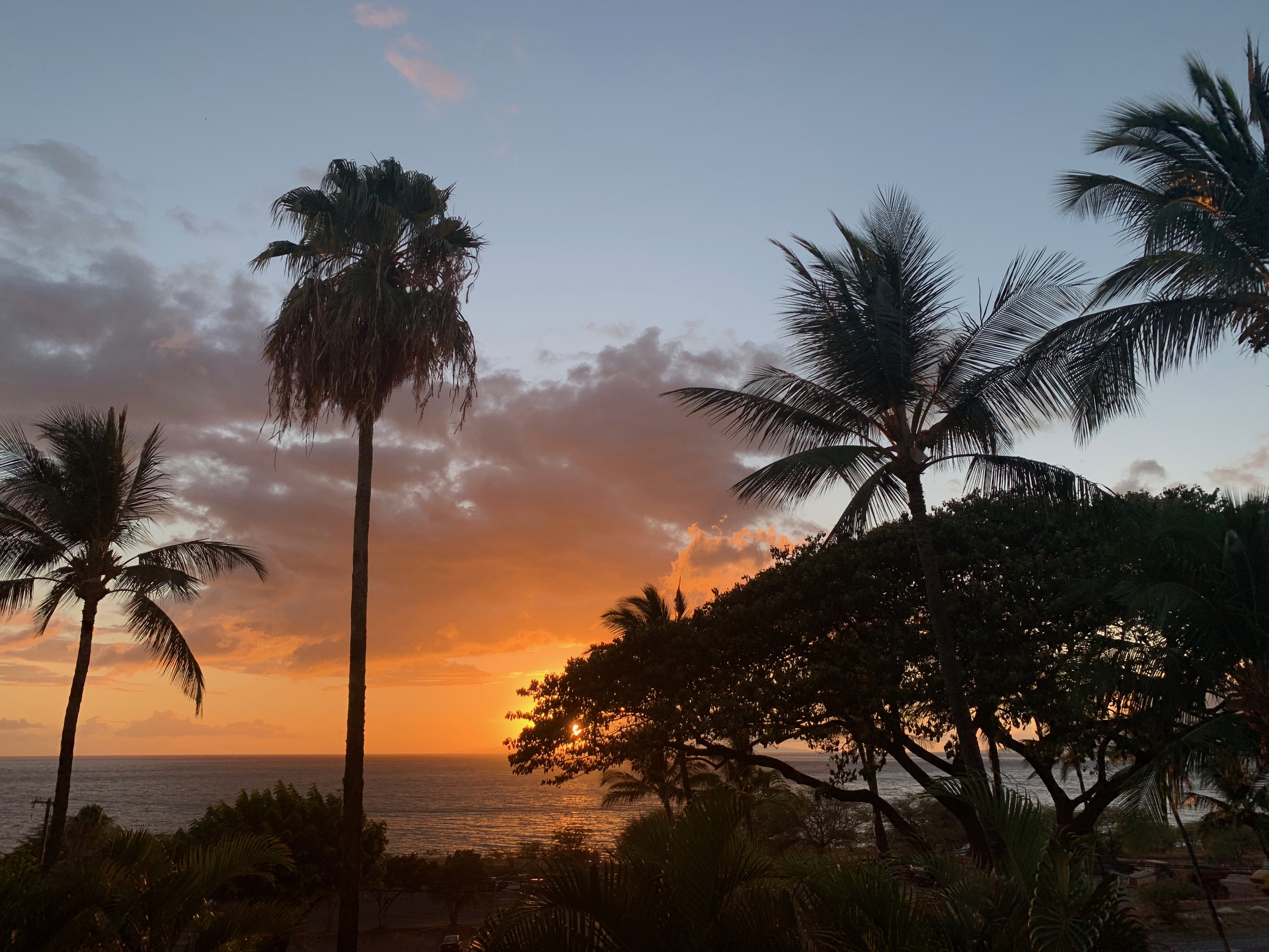Wailea Condo 978091
