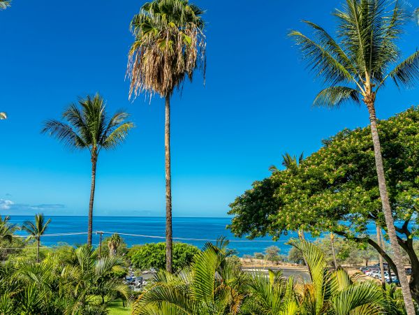Wailea Condo 978091