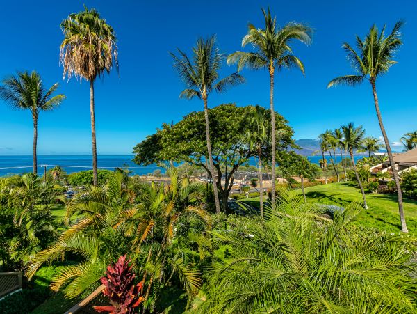 Wailea Condo 978091