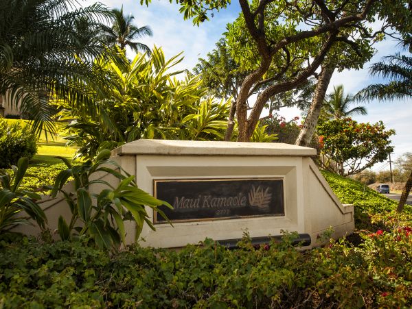 Wailea Condo 978092