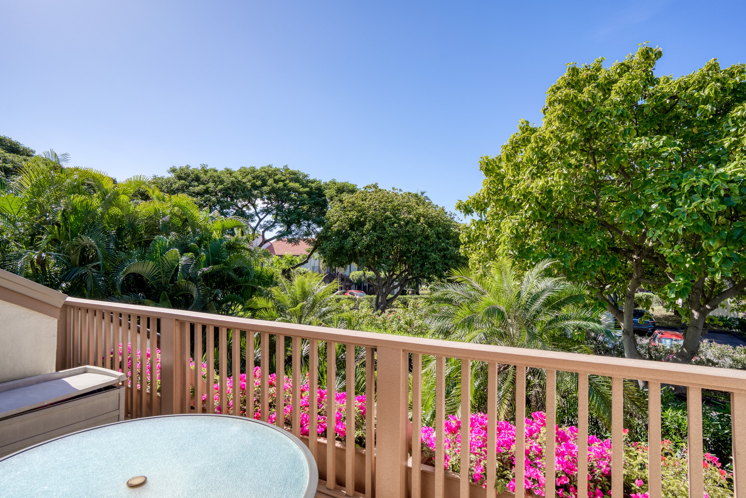 Wailea Condo 978093