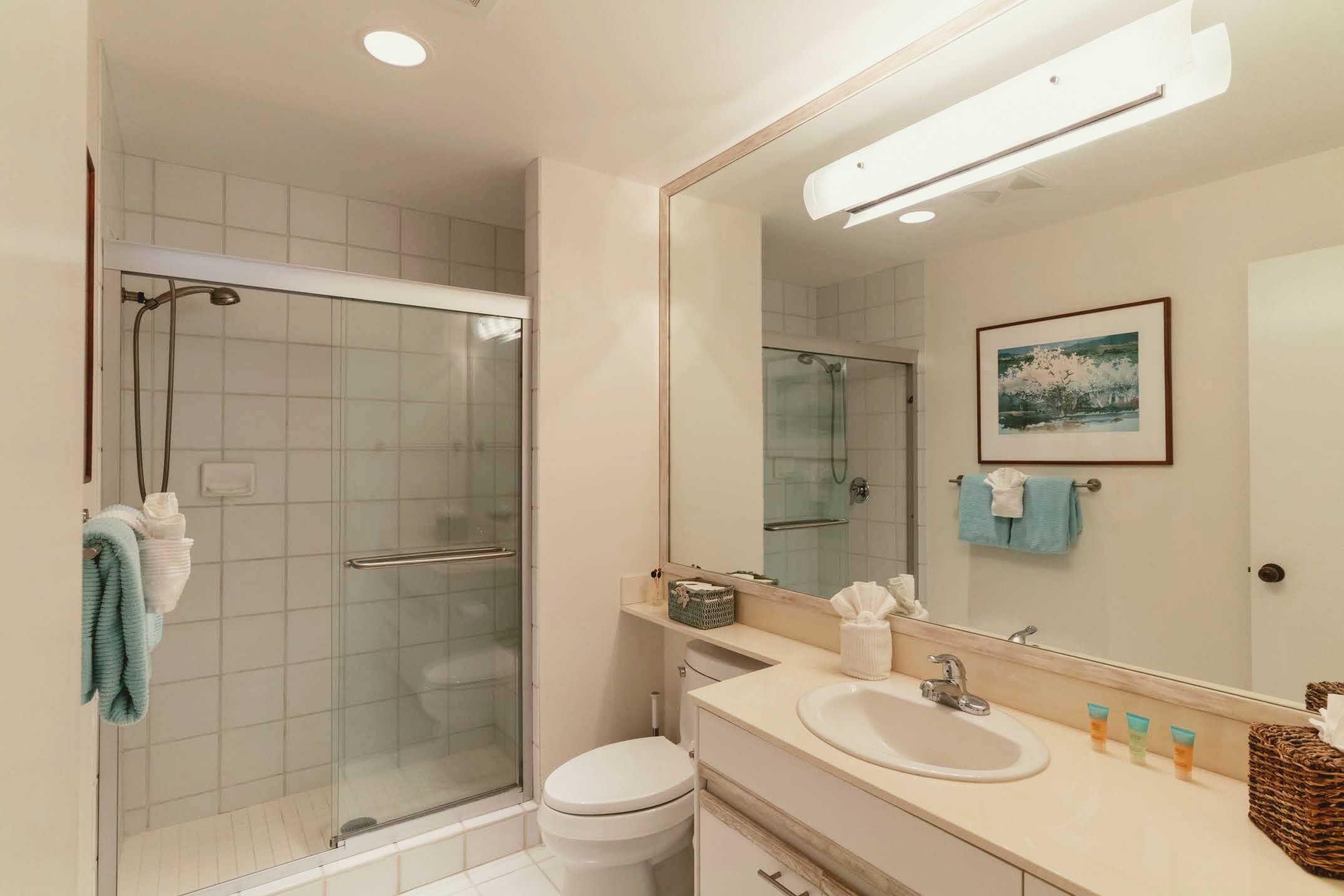 Wailea Condo 978094