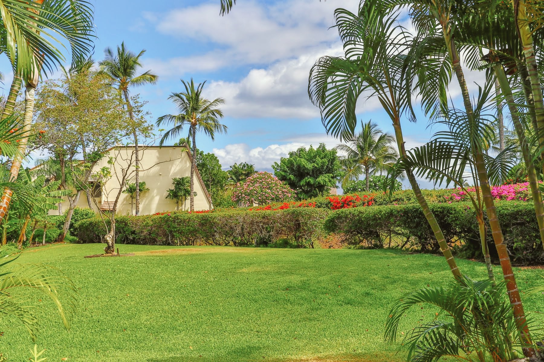 Wailea Condo 978094