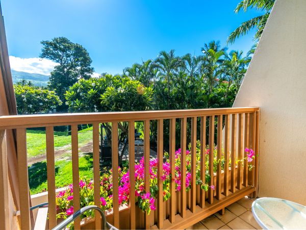 Wailea Condo 978095