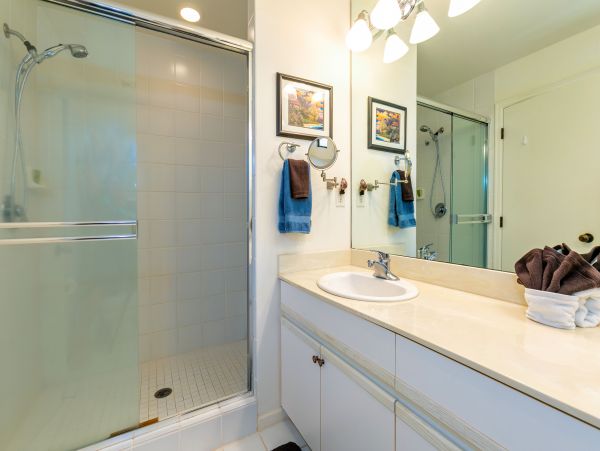 Wailea Condo 978095
