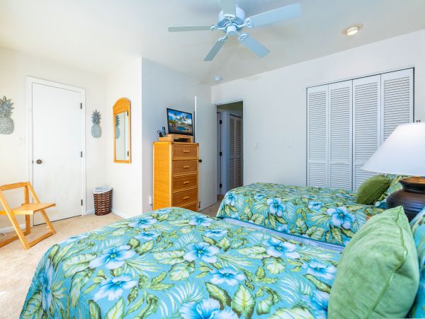 Wailea Condo 978095