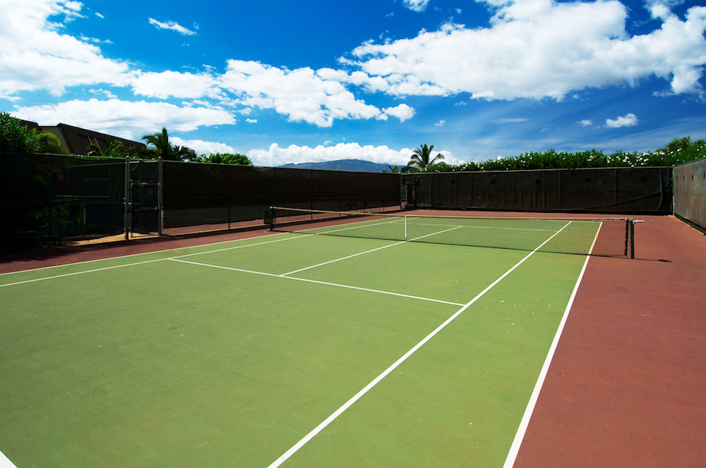 Wailea Condo 978095
