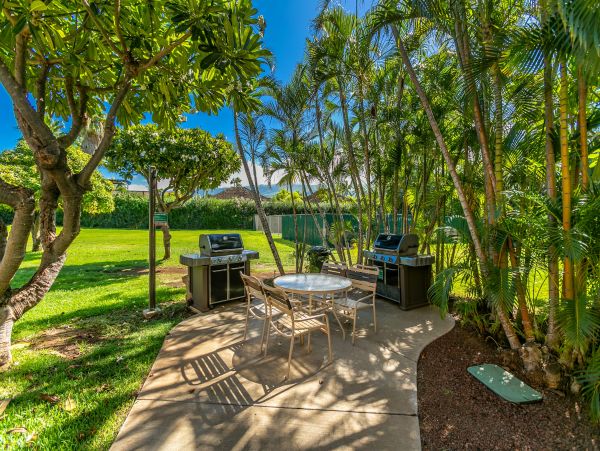 Wailea Condo 978095
