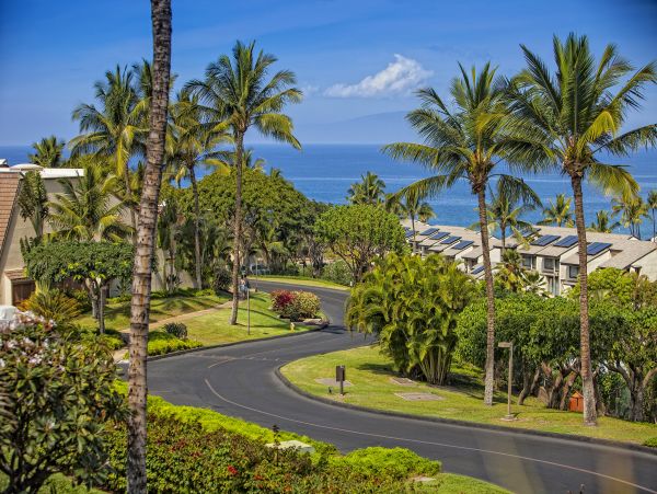 Wailea Condo 978095