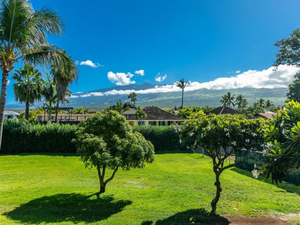 Wailea Condo 978095
